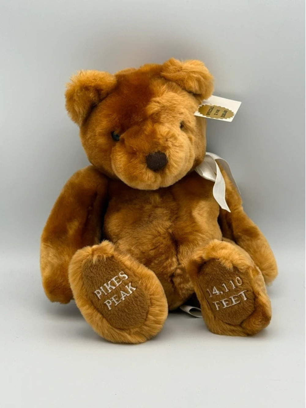 Pikes Peak Bear
